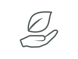 Hand, die ein Blatt hält, symbolisiert Umweltbewusstsein und Nachhaltigkeit.